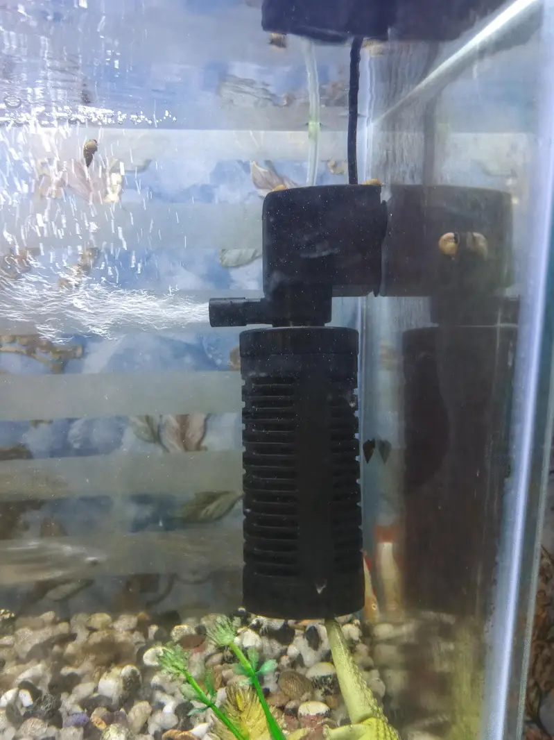 Fish Aquarium Size 2 feet — photo 3