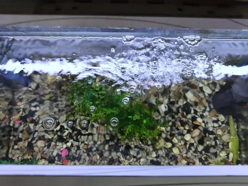 Fish Aquarium Size 2 feet — photo 6