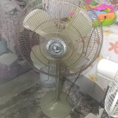 Padestal fan 24"inch size