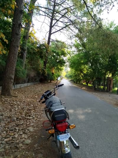 Honda CD 70 2021