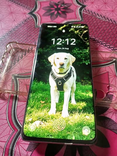 OPPO Reno