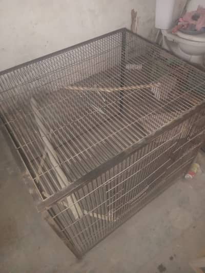 big cage