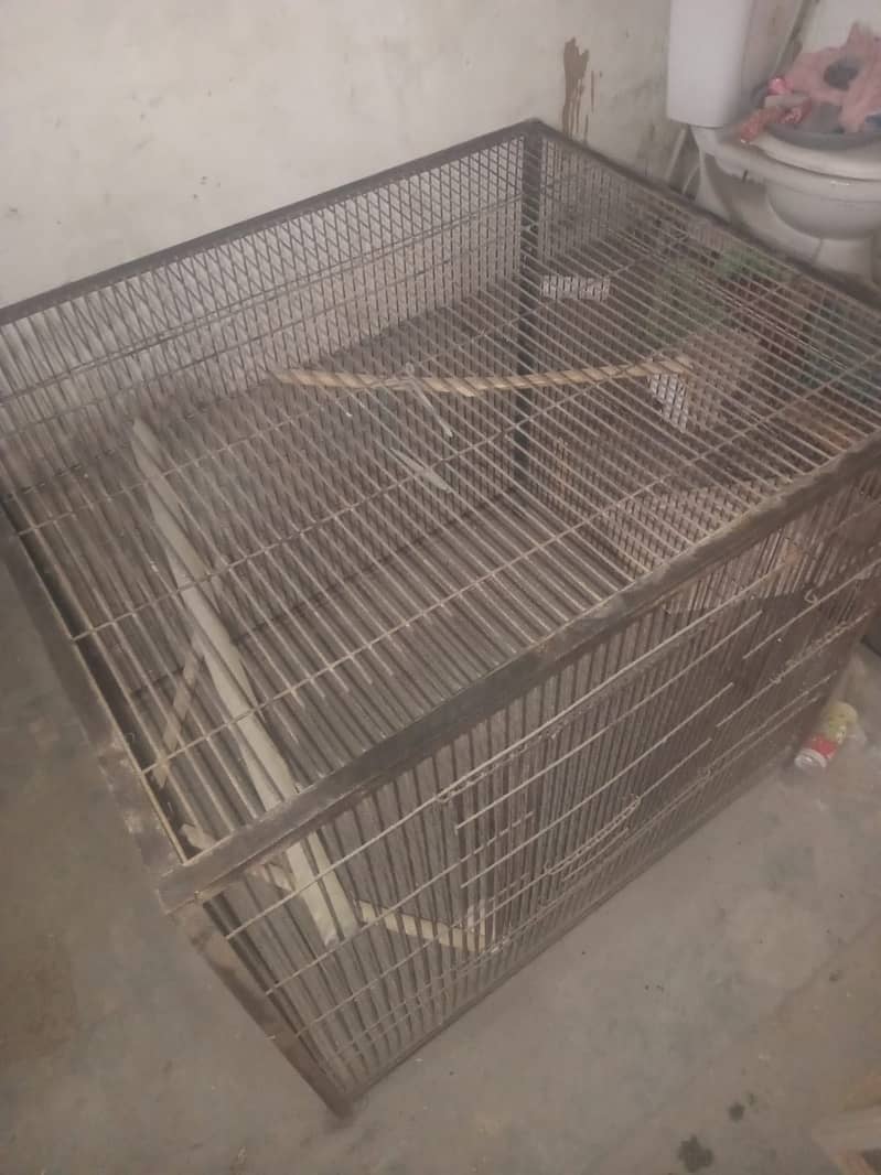 big cage 0