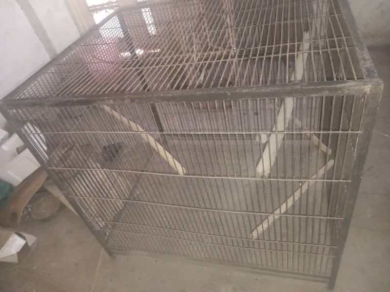 big cage 1