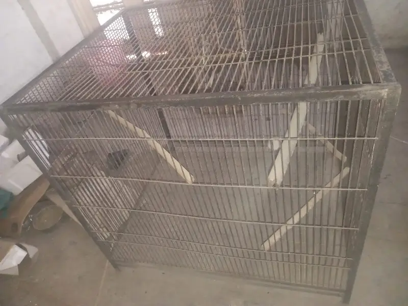 big cage — photo 2