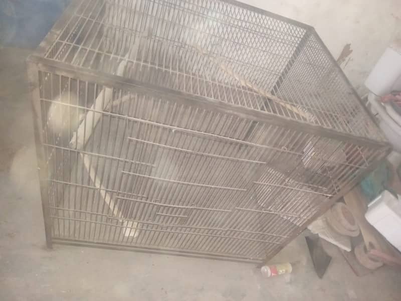 big cage 2