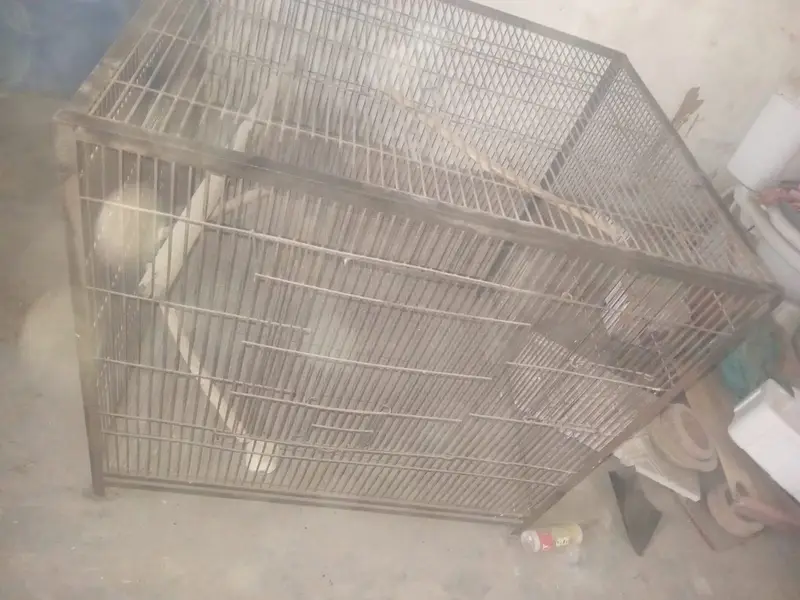 big cage — photo 3