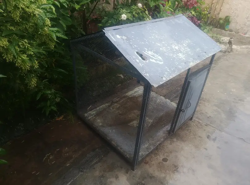 Hen cage — photo 3
