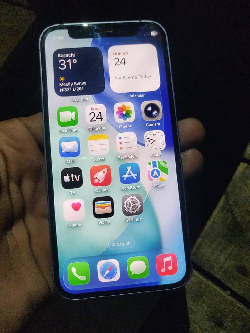 Apple iPhone 12 1