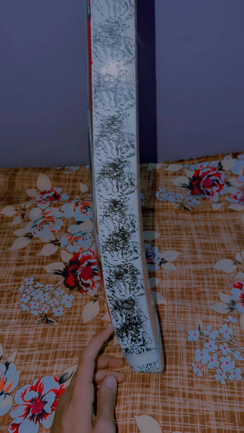 Cricket bat 2