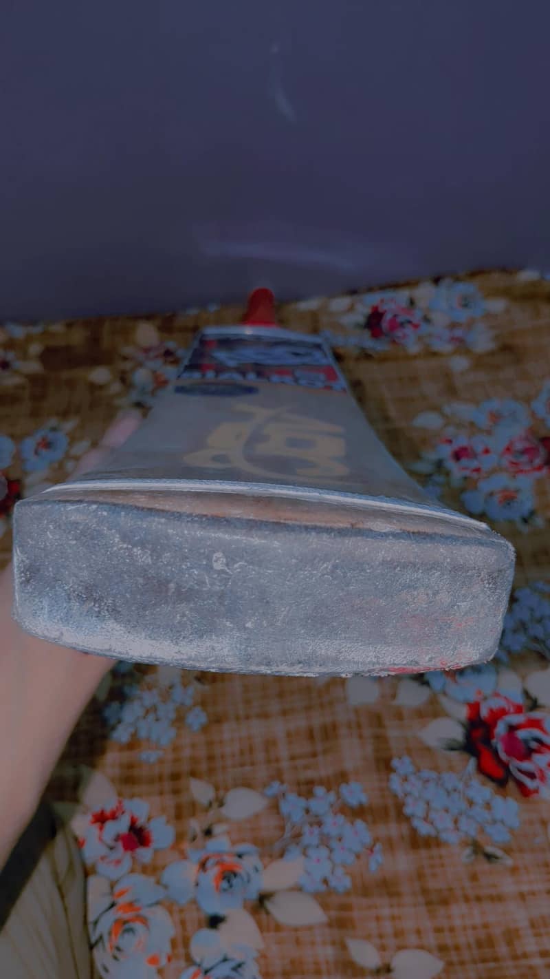 Cricket bat 4