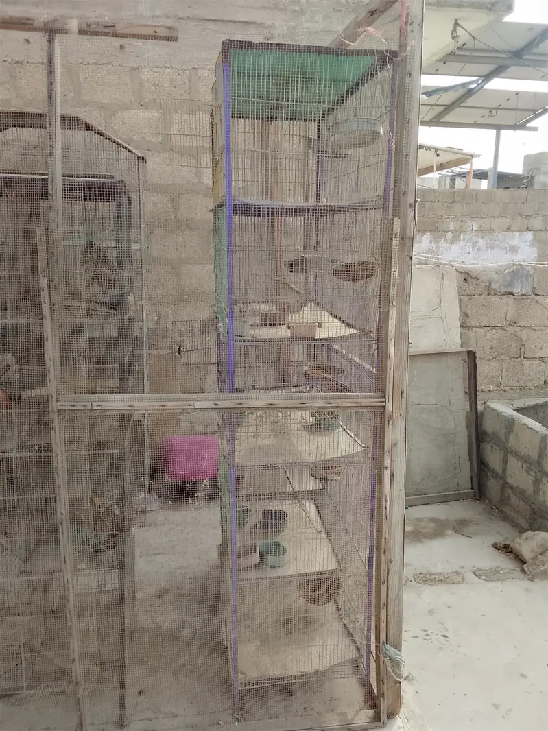 Cages for sale 15 12 8 7 6 5 and 4 protion available — photo 3