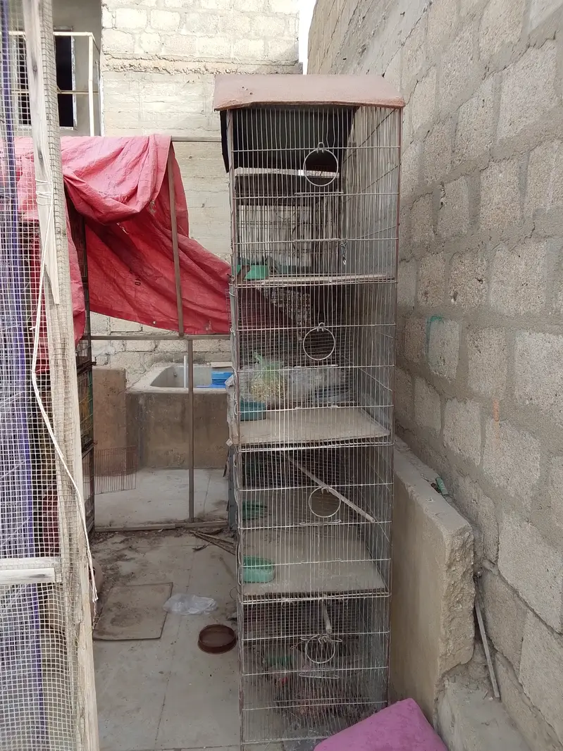 Cages for sale 15 12 8 7 6 5 and 4 protion available — photo 4