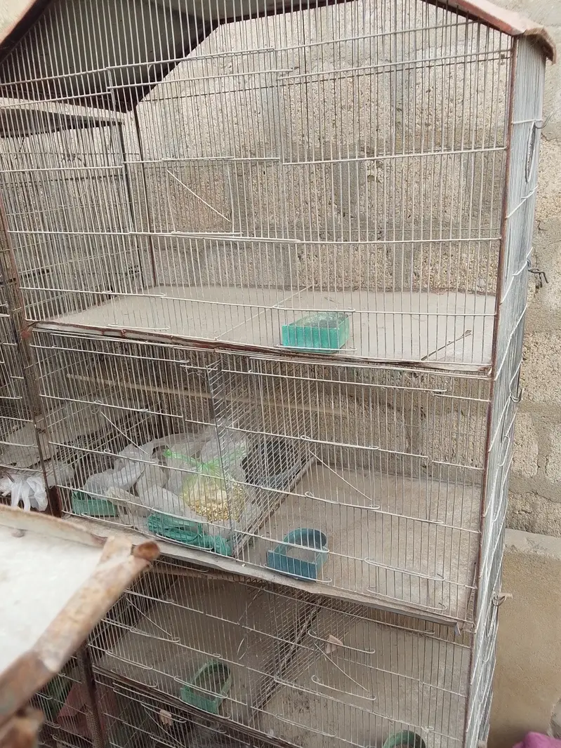 Cages for sale 15 12 8 7 6 5 and 4 protion available — photo 5