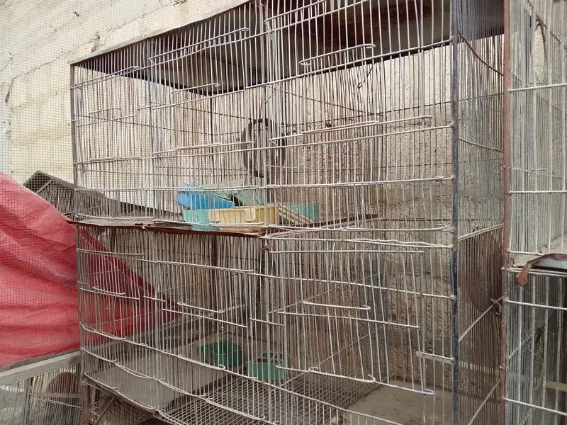 Cages for sale 15 12 8 7 6 5 and 4 protion available — photo 7