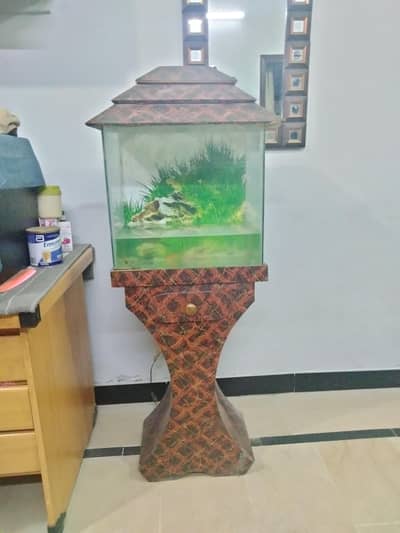 aquarium