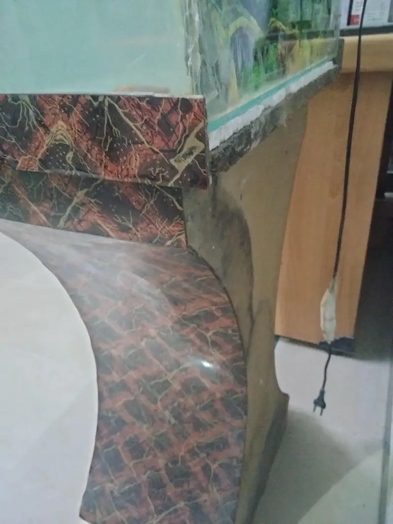 aquarium — photo 3