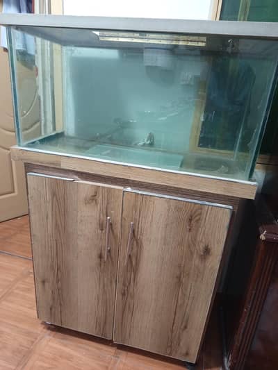 aquarium and fish tank