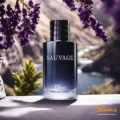 Sauvage perfume Dior 100 ml