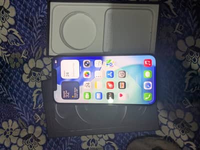 Apple iPhone 12 Pro Max