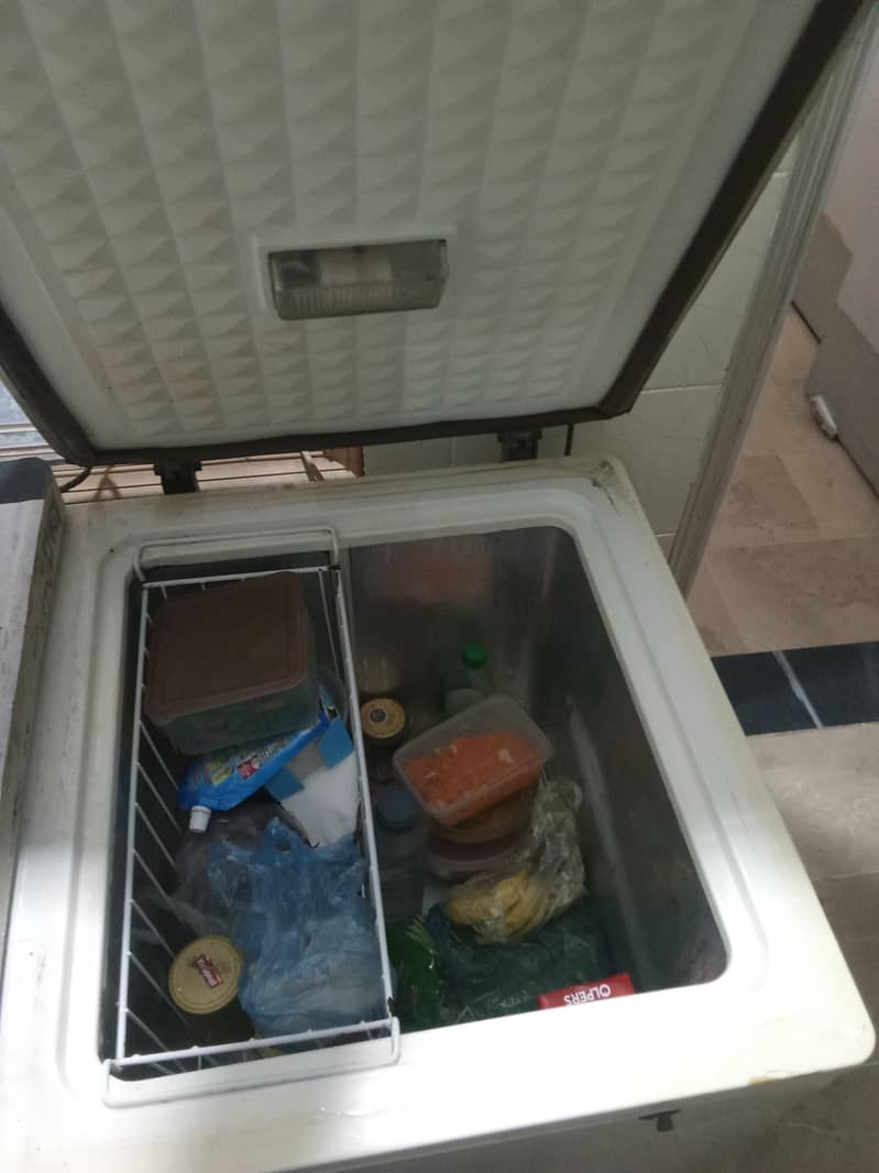 D Freezer 1
