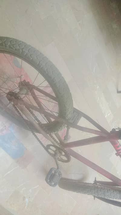 cycle