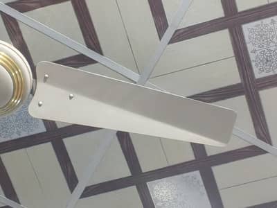 celling fan