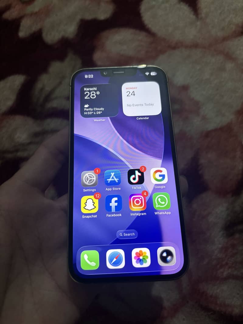 Apple iPhone 13 Pro 1
