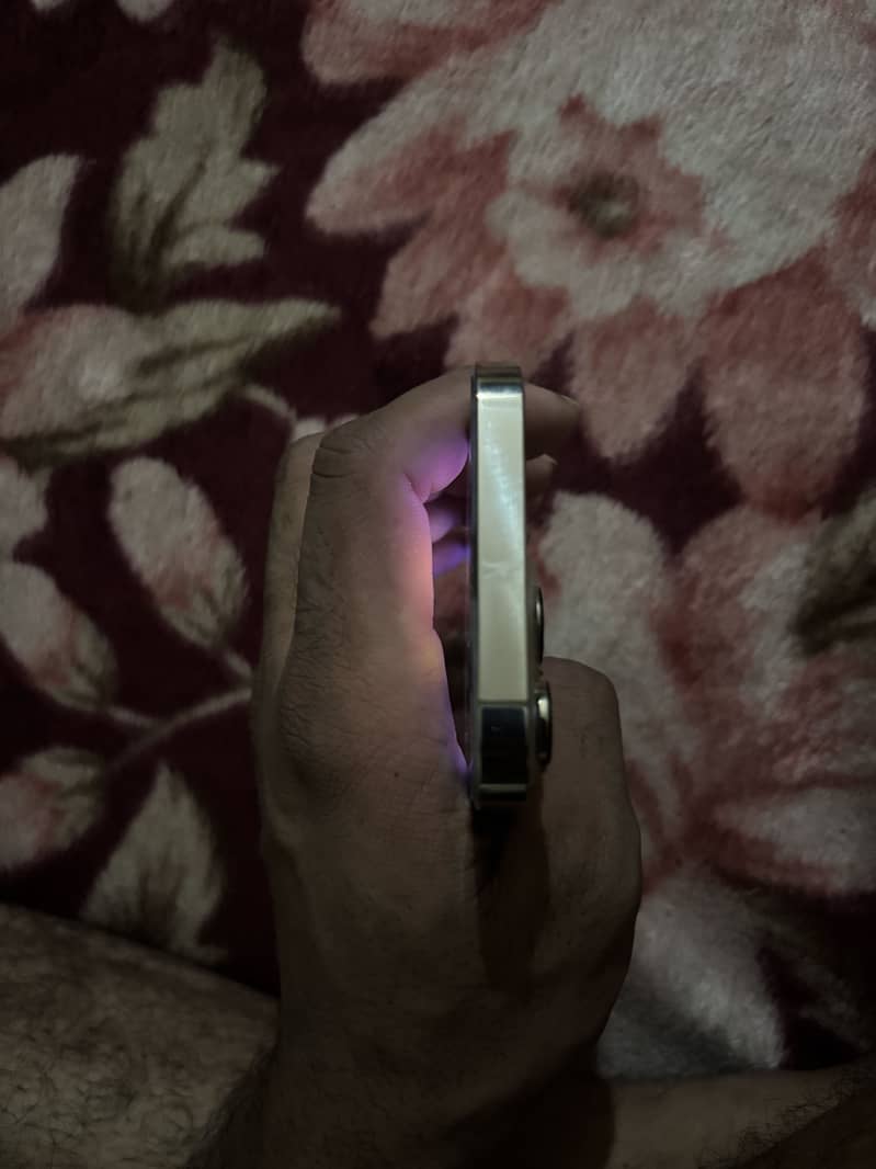 Apple iPhone 13 Pro 3