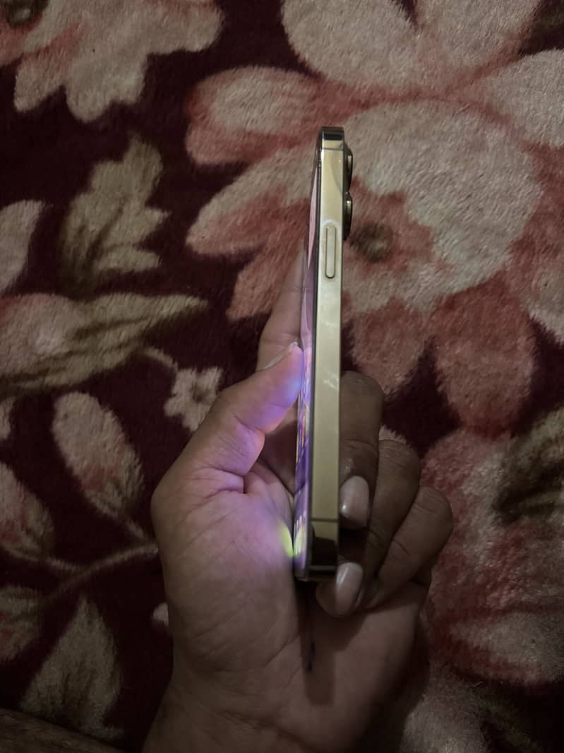 Apple iPhone 13 Pro 4