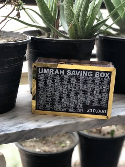 Umrah saving box