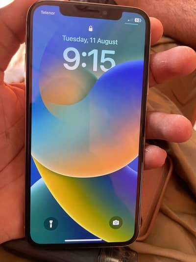 Apple iPhone X