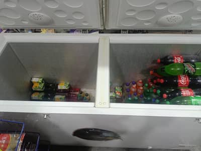 Double door freezer 10/10