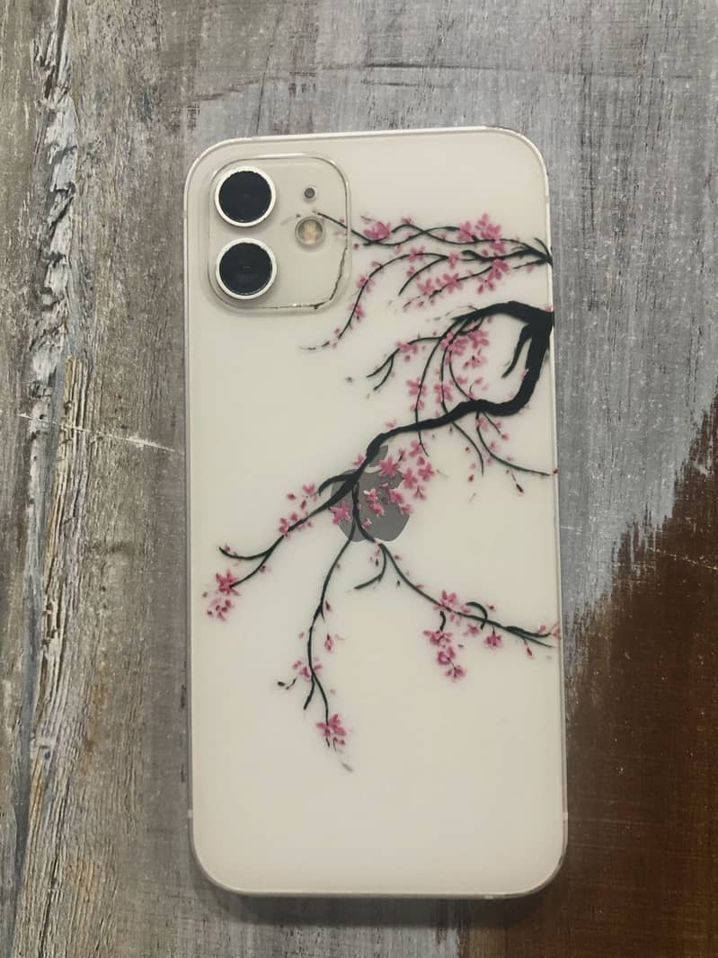 iPhone 12 1