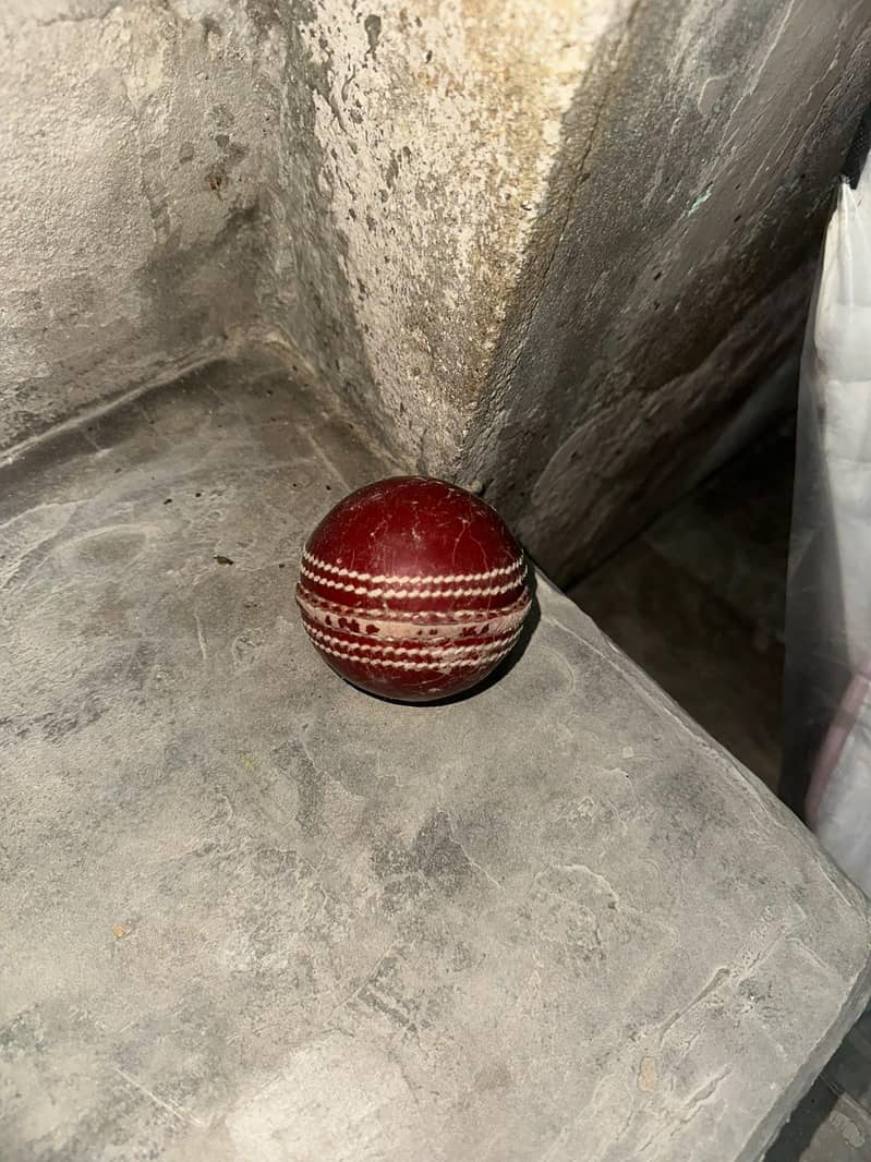 cricket kit 2