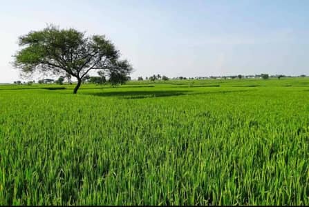 Agricultural Land Available For Sale