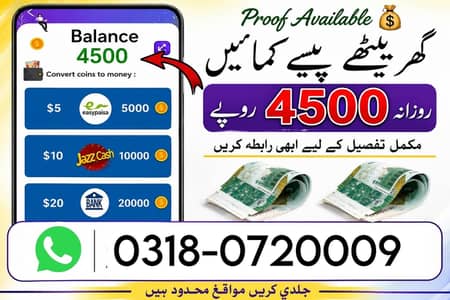Part Time Full Time Job / Data Entry Job / Typing job / Assignment Job