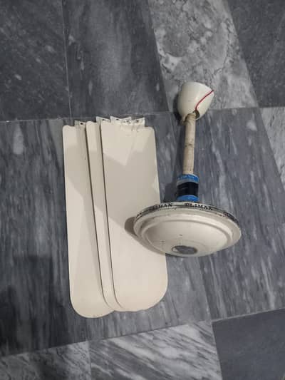 Climax Ceiling Fan
