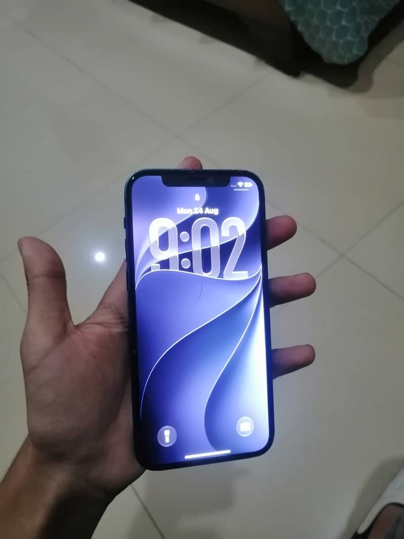Apple iPhone 12 1