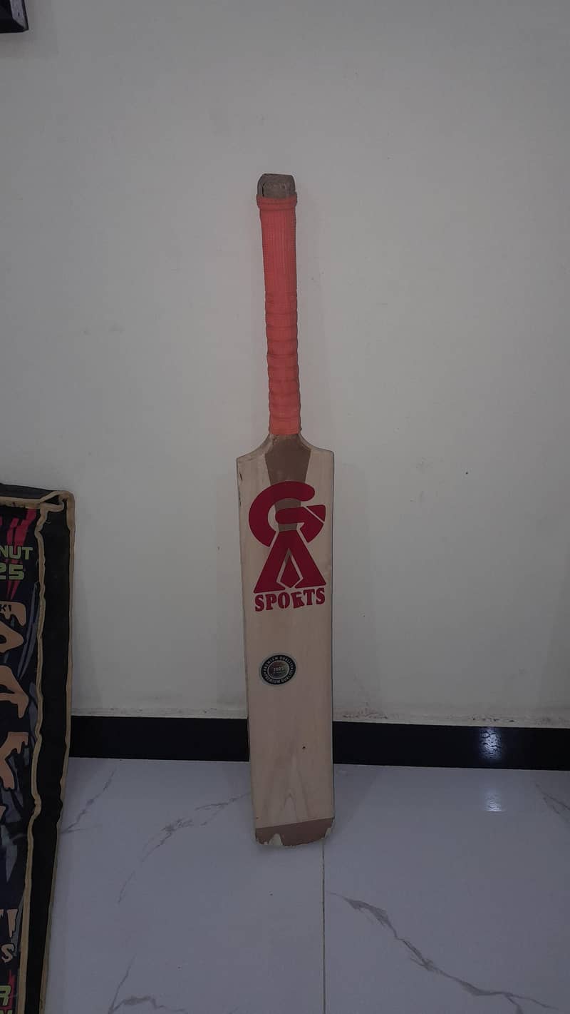 cricket bat 1
