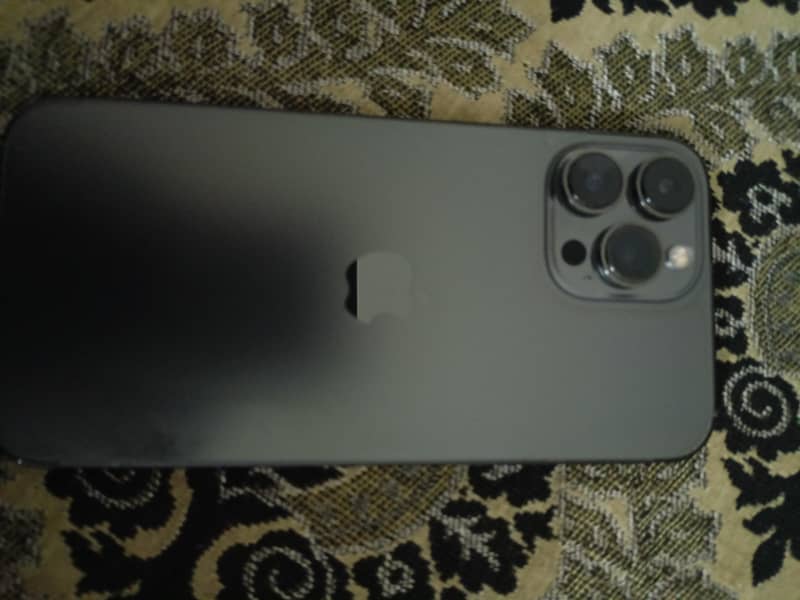 Apple iPhone 13 Pro Max 1