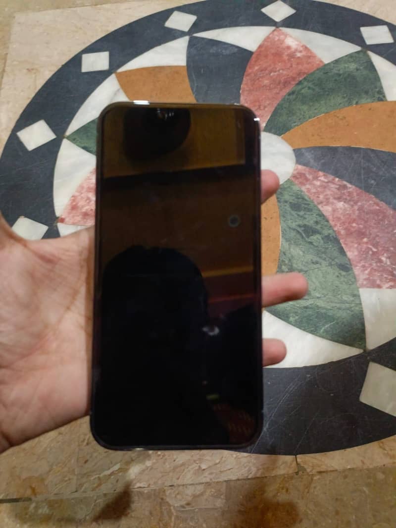 Apple iPhone 13 Pro Max 1