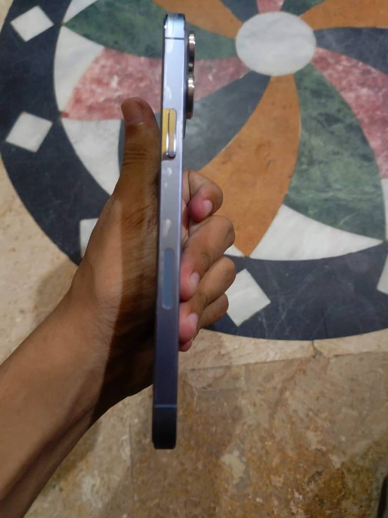 Apple iPhone 13 Pro Max 3