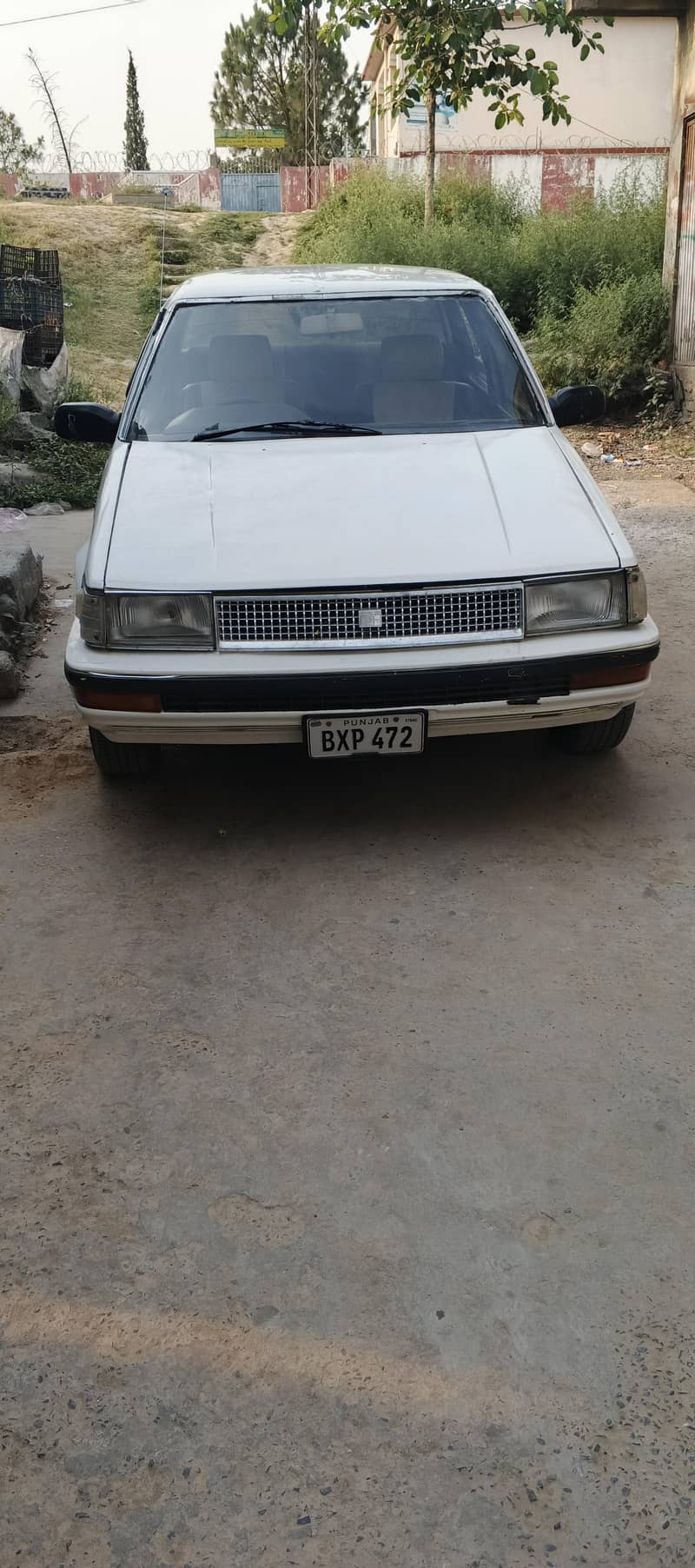 86 Corolla 0