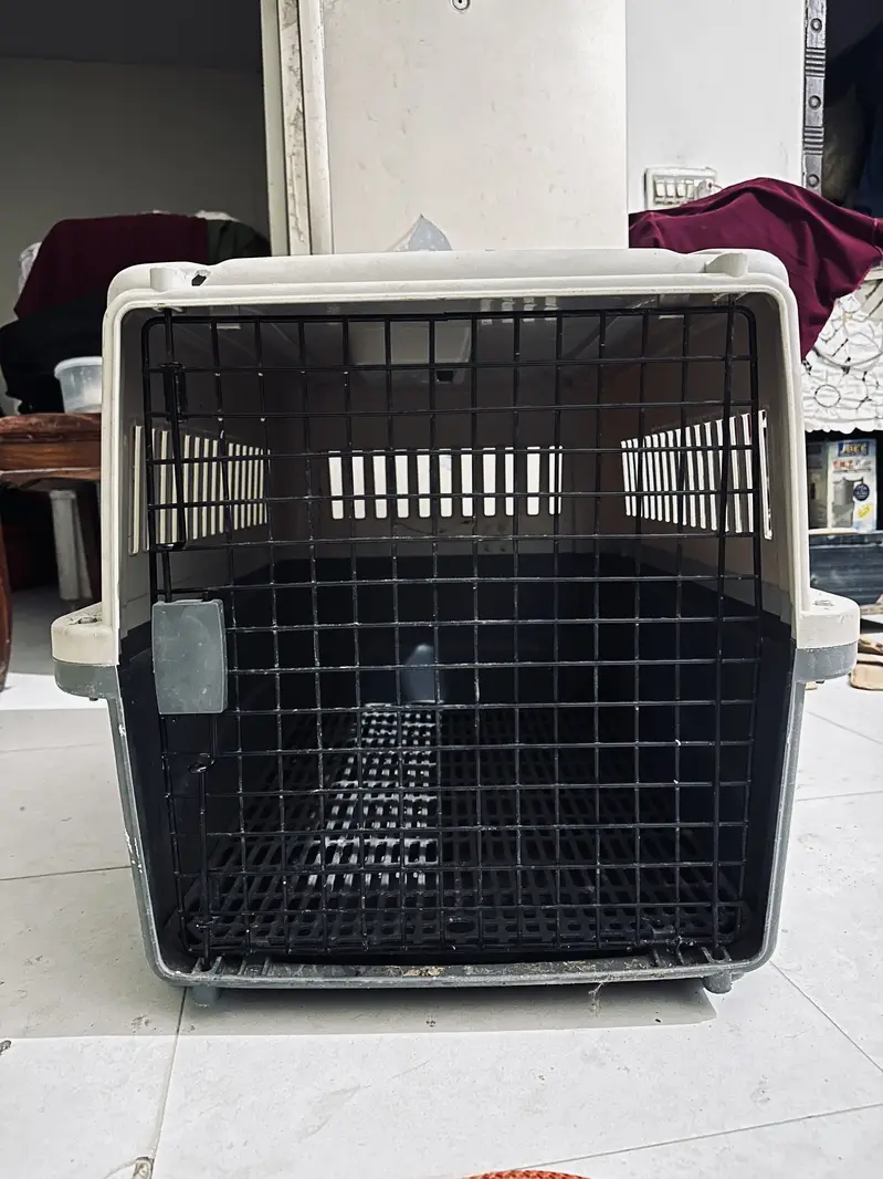 cage and everything with dog — photo 10