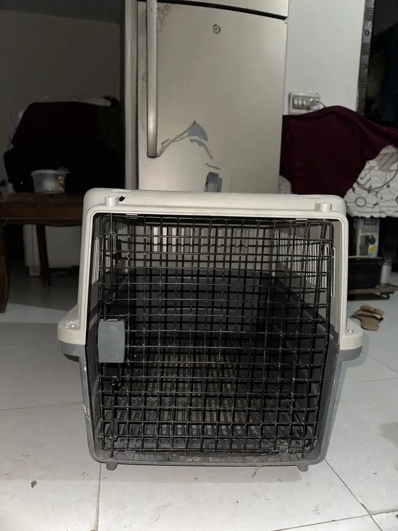 cage and everything with dog — photo 12