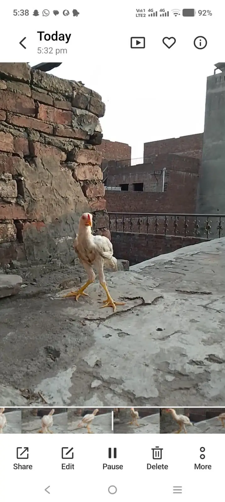 Hira patha achi nasal ka h aik tang khrb h  what's ap num 03249430851 — photo 5
