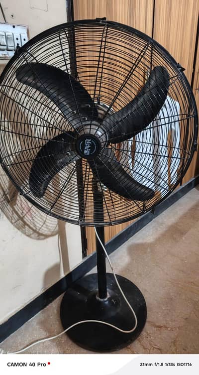 Mehran Pedestal fan in cooper