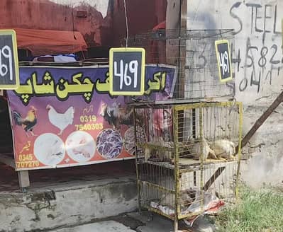 chicken shop item