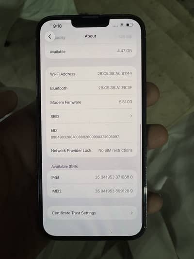 Apple iPhone 13 Pro Max